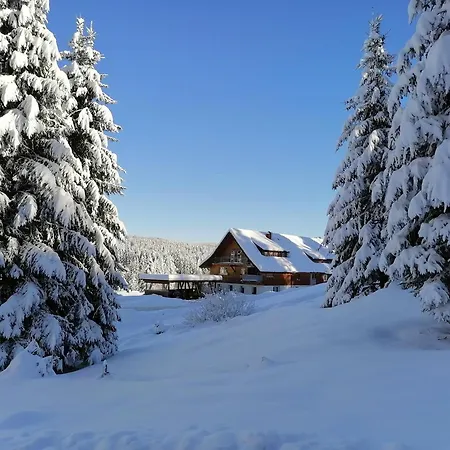 Heustueble Lägenhet Hinterzarten