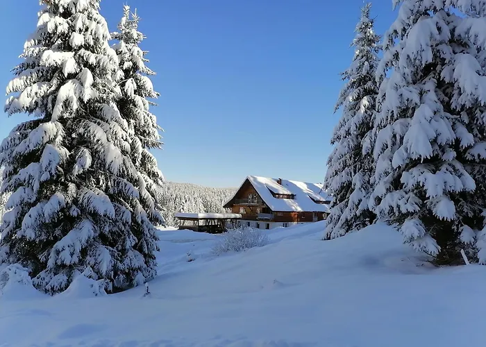 Lejlighed Heustueble Hinterzarten